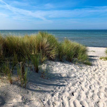 Appartements Am Reiterhof Klabautermann Insel Poel Dış mekan fotoğraf
