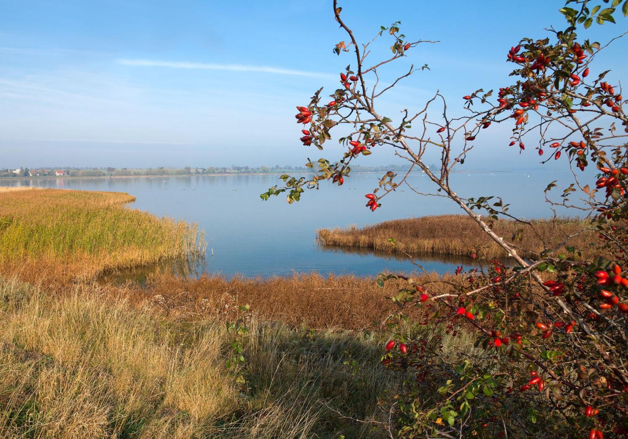 Appartements Am Reiterhof Klabautermann Insel Poel Dış mekan fotoğraf