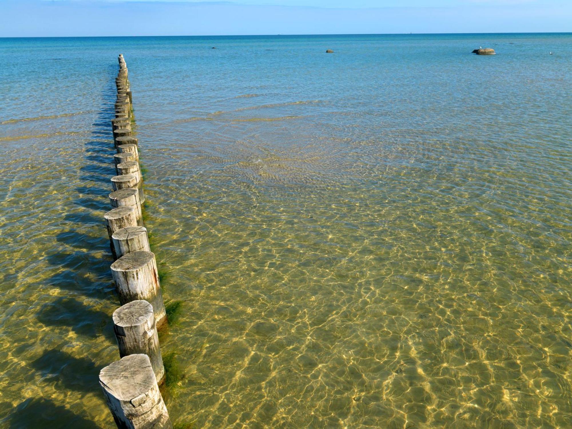Appartements Am Reiterhof Klabautermann Insel Poel Dış mekan fotoğraf