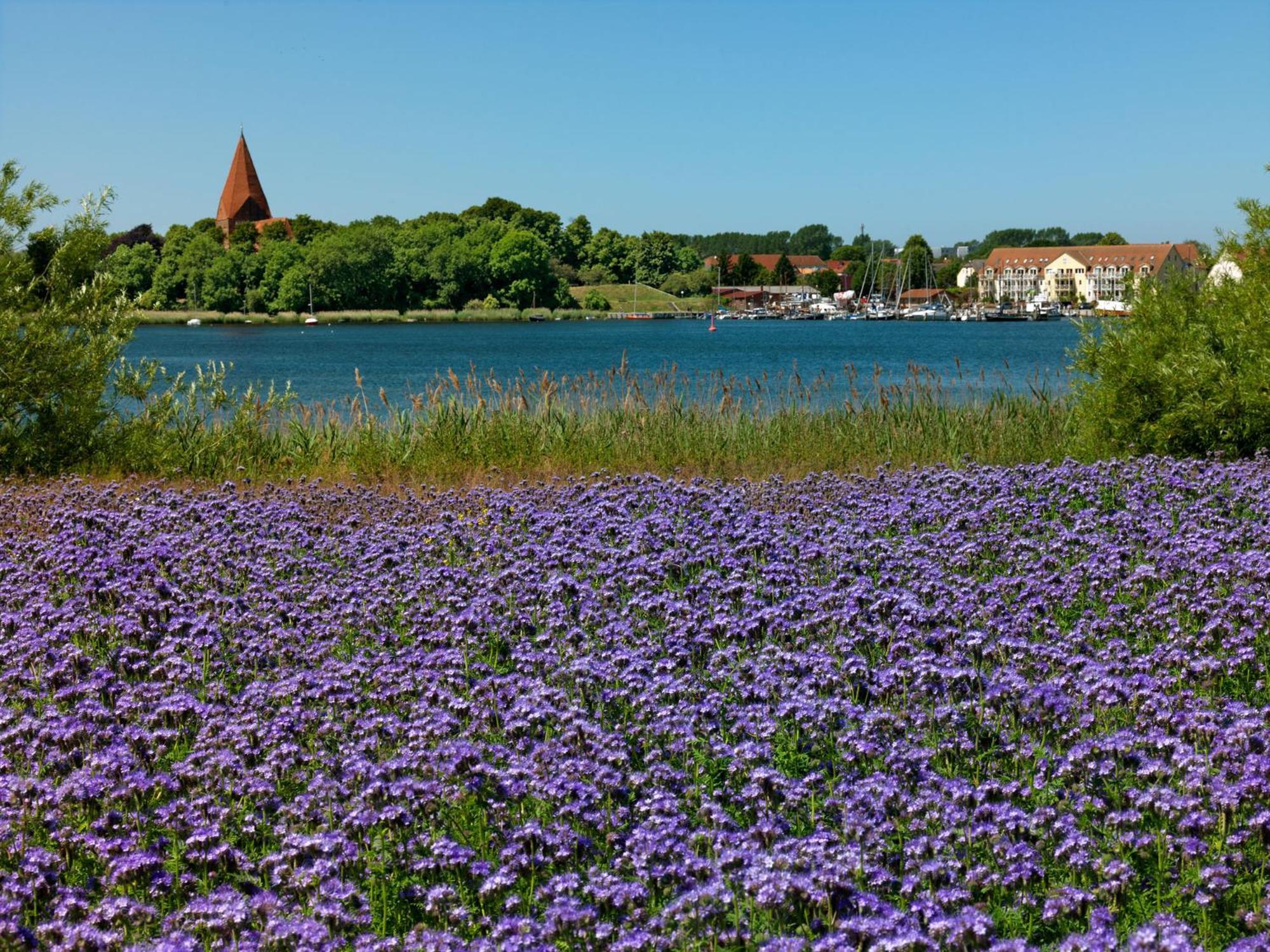 Appartements Am Reiterhof Klabautermann Insel Poel Dış mekan fotoğraf